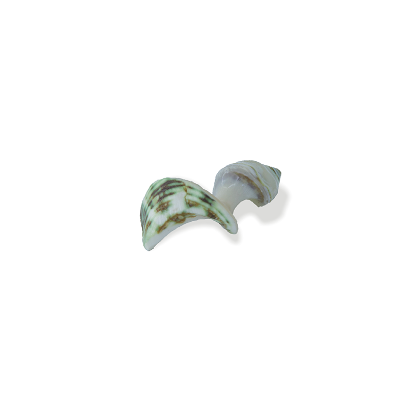 CHOPSTICK HOLDER SNAIL STYLE