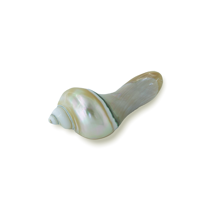 CHOPSTICK HOLDER LUMACA IMMACULATE